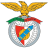 Benfica zászlója